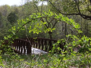 Wasaga Sands Bridge - Mary Johnson 2013 photo