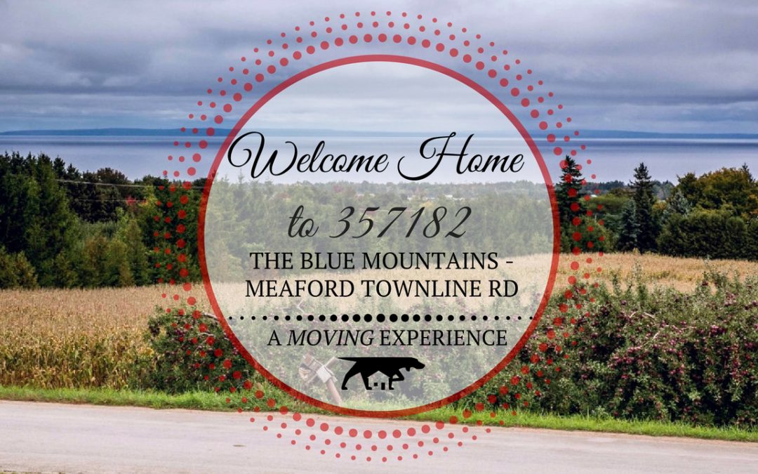357182 The Blue Mountains – Meaford Townline Road in Meaford, ON