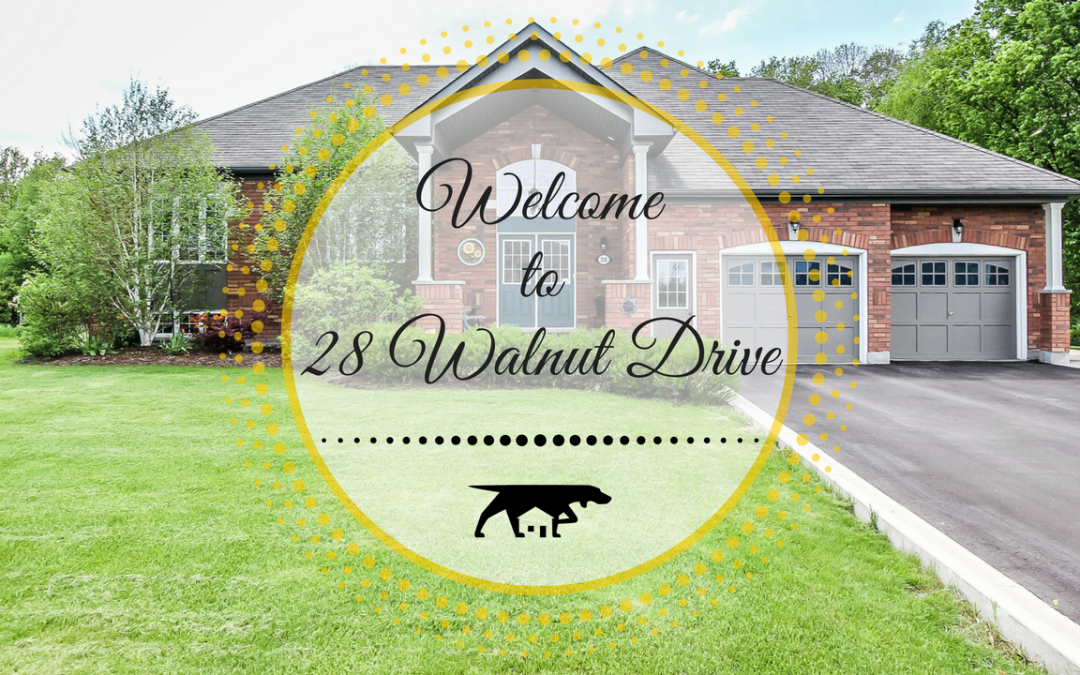 28 Walnut Drive in Wasaga Beach