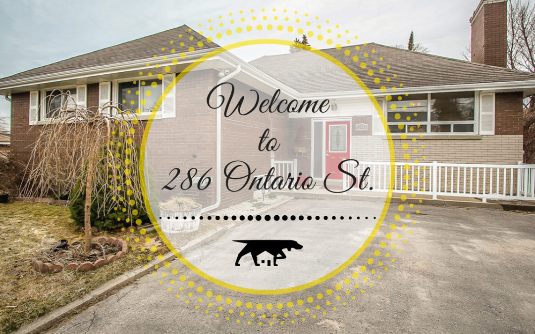 286 Ontario Street in Collingwood