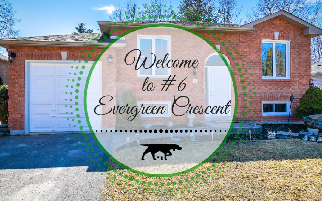 6 Evergreen Crescent in Wasaga Beach