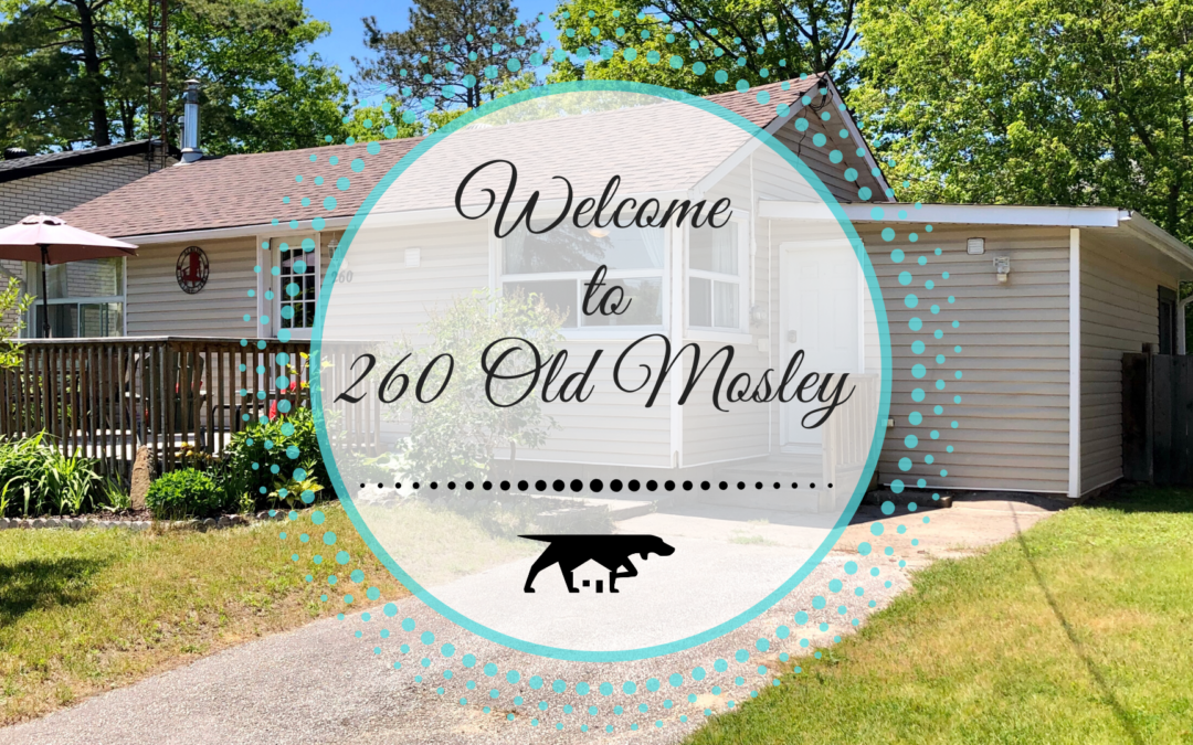 260 Old Mosley Street in Wasaga Beach