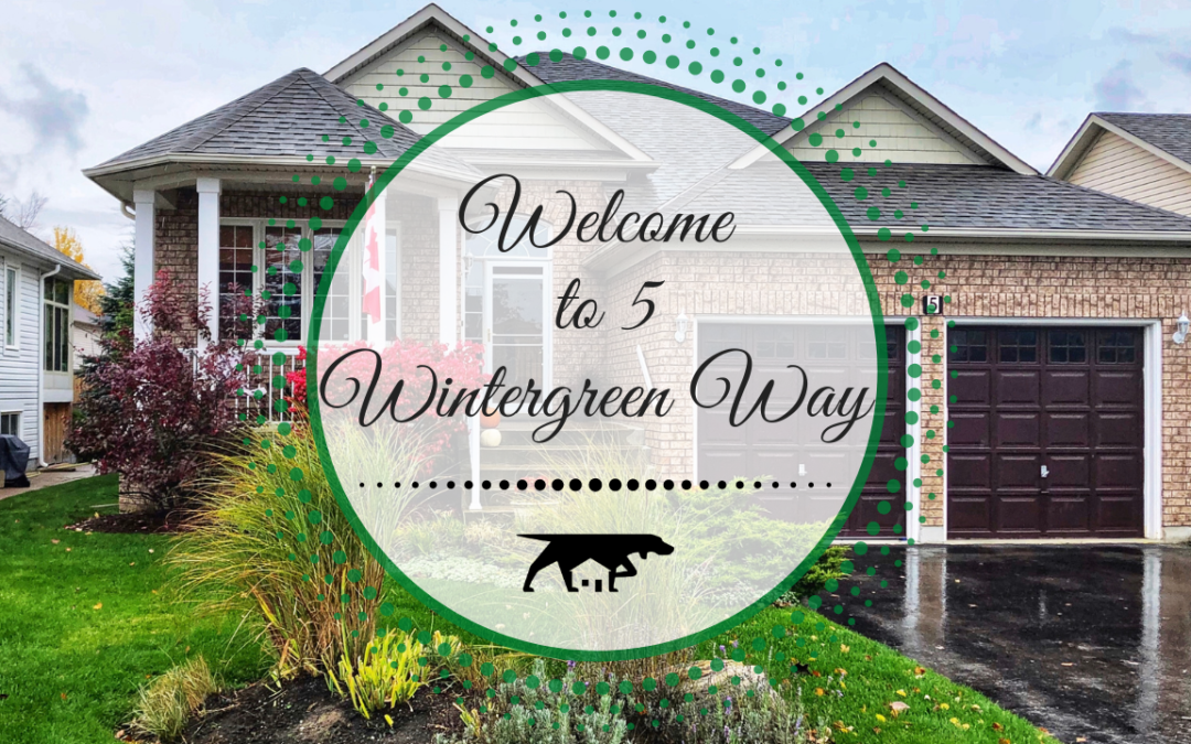 5 Wintergreen Way in Wasaga Beach